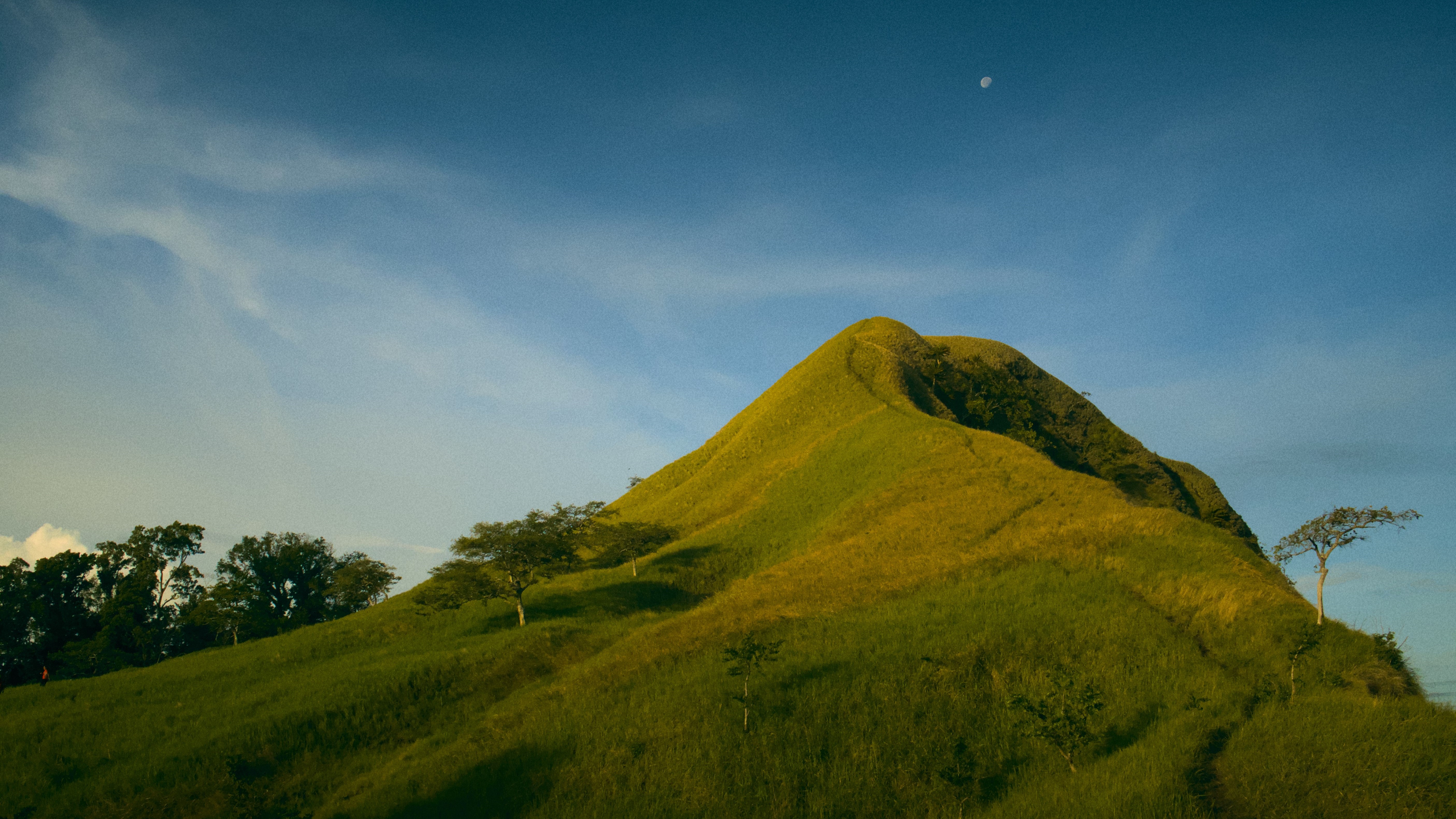 Landscapes